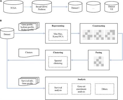 Multi-Omics Data Fusion via a Joint Kernel Learning Model for Cancer Subtype Discovery and Essential Gene Identification